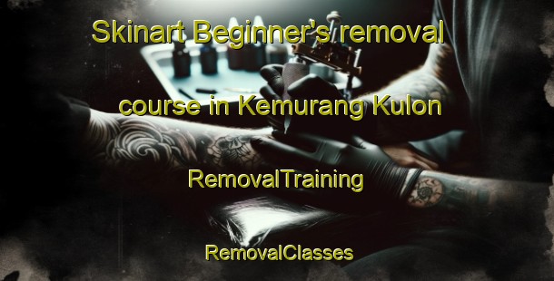 Skinart Beginner's removal course in Kemurang Kulon | RemovalTraining | RemovalClasses | SkinartTraining-Indonesia