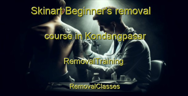 Skinart Beginner's removal course in Kondangpasar | RemovalTraining | RemovalClasses | SkinartTraining-Indonesia
