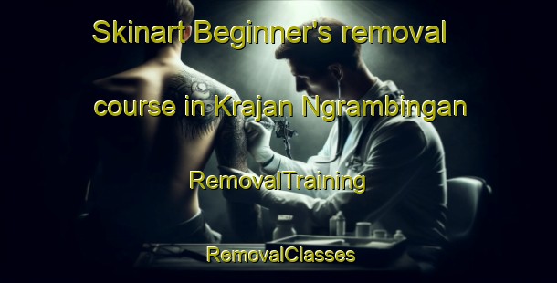 Skinart Beginner's removal course in Krajan Ngrambingan | RemovalTraining | RemovalClasses | SkinartTraining-Indonesia