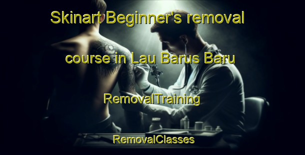 Skinart Beginner's removal course in Lau Barus Baru | RemovalTraining | RemovalClasses | SkinartTraining-Indonesia