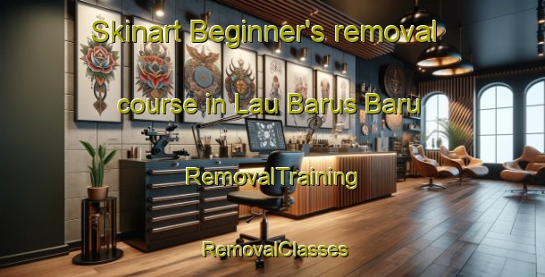 Skinart Beginner's removal course in Lau Barus Baru | RemovalTraining | RemovalClasses | SkinartTraining-Indonesia