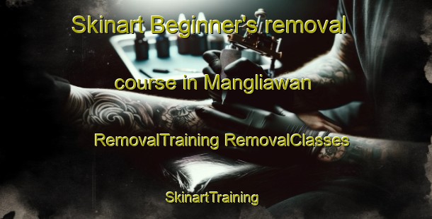 Skinart Beginner's removal course in Mangliawan | #RemovalTraining #RemovalClasses #SkinartTraining-Indonesia