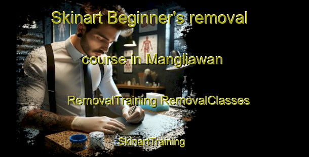 Skinart Beginner's removal course in Mangliawan | #RemovalTraining #RemovalClasses #SkinartTraining-Indonesia