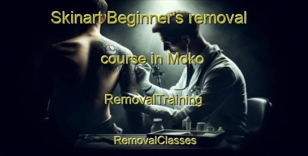 Skinart Beginner's removal course in Moko | RemovalTraining | RemovalClasses | SkinartTraining-Indonesia