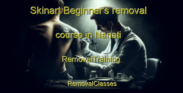 Skinart Beginner's removal course in Nanati | RemovalTraining | RemovalClasses | SkinartTraining-Indonesia