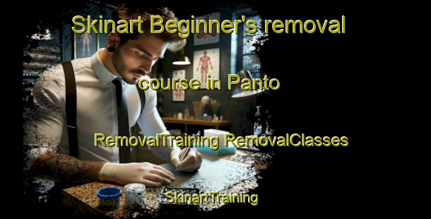 Skinart Beginner's removal course in Panto | #RemovalTraining #RemovalClasses #SkinartTraining-Indonesia