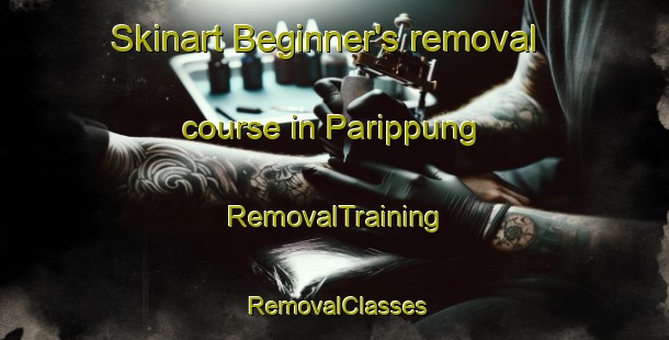 Skinart Beginner's removal course in Parippung | RemovalTraining | RemovalClasses | SkinartTraining-Indonesia
