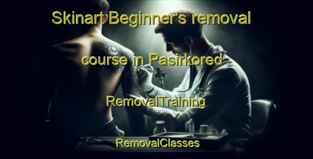 Skinart Beginner's removal course in Pasirkored | RemovalTraining | RemovalClasses | SkinartTraining-Indonesia