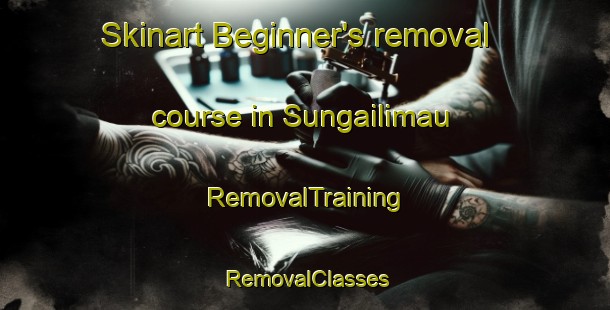 Skinart Beginner's removal course in Sungailimau | RemovalTraining | RemovalClasses | SkinartTraining-Indonesia