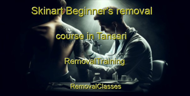 Skinart Beginner's removal course in Tansari | RemovalTraining | RemovalClasses | SkinartTraining-Indonesia