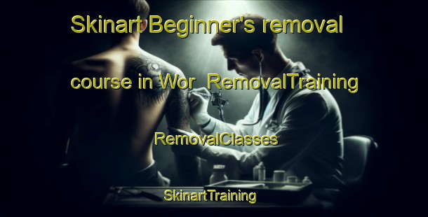 Skinart Beginner's removal course in Wor | RemovalTraining | RemovalClasses | SkinartTraining-Indonesia