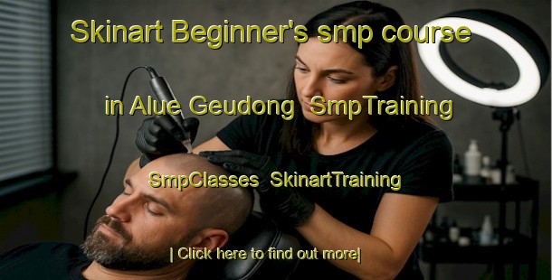 Skinart Beginner's smp course in Alue Geudong | SmpTraining | SmpClasses | SkinartTraining-Indonesia
