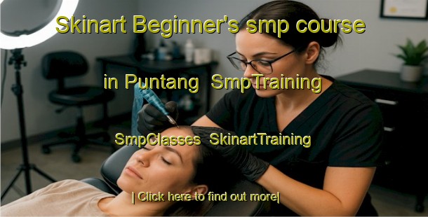 Skinart Beginner's smp course in Puntang | SmpTraining | SmpClasses | SkinartTraining-Indonesia