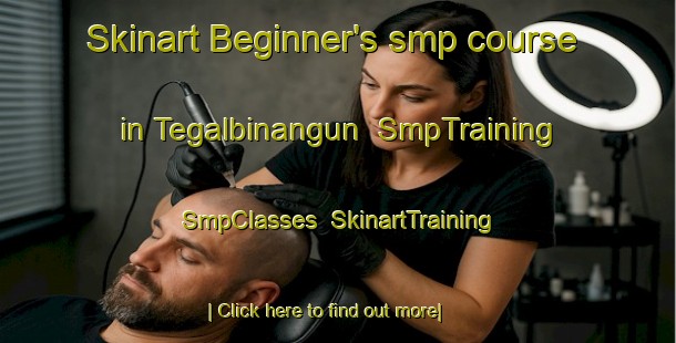 Skinart Beginner's smp course in Tegalbinangun | SmpTraining | SmpClasses | SkinartTraining-Indonesia