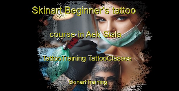 Skinart Beginner's tattoo course in Aek Siala | #TattooTraining #TattooClasses #SkinartTraining-Indonesia