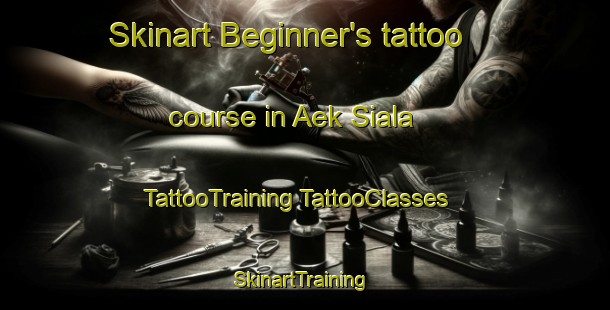 Skinart Beginner's tattoo course in Aek Siala | #TattooTraining #TattooClasses #SkinartTraining-Indonesia