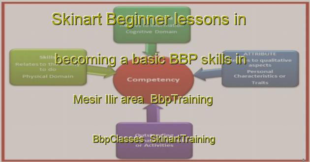 Skinart Beginner lessons in becoming a basic BBP skills in Mesir Ilir area | BbpTraining | BbpClasses | SkinartTraining-Indonesia
