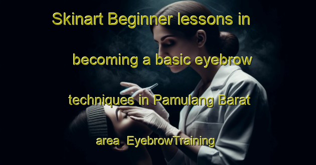 Skinart Beginner lessons in becoming a basic eyebrow techniques in Pamulang Barat area | EyebrowTraining | EyebrowClasses | SkinartTraining-Indonesia