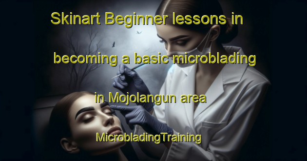 Skinart Beginner lessons in becoming a basic microblading in Mojolangun area | MicrobladingTraining | MicrobladingClasses | SkinartTraining-Indonesia