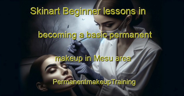Skinart Beginner lessons in becoming a basic permanent makeup in Mesu area | PermanentmakeupTraining | PermanentmakeupClasses | SkinartTraining-Indonesia