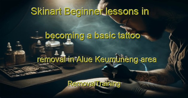 Skinart Beginner lessons in becoming a basic tattoo removal in Alue Keumuneng area | RemovalTraining | RemovalClasses | SkinartTraining-Indonesia
