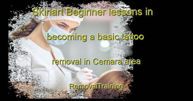 Skinart Beginner lessons in becoming a basic tattoo removal in Cemara area | RemovalTraining | RemovalClasses | SkinartTraining-Indonesia