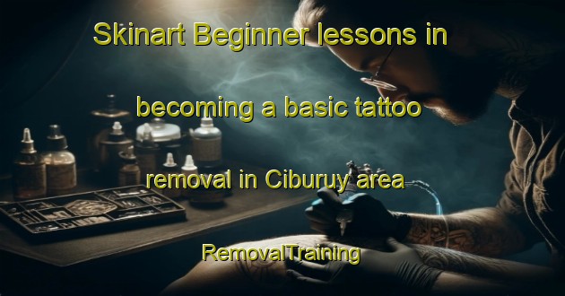 Skinart Beginner lessons in becoming a basic tattoo removal in Ciburuy area | RemovalTraining | RemovalClasses | SkinartTraining-Indonesia