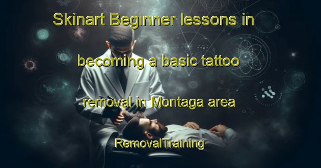 Skinart Beginner lessons in becoming a basic tattoo removal in Montaga area | RemovalTraining | RemovalClasses | SkinartTraining-Indonesia
