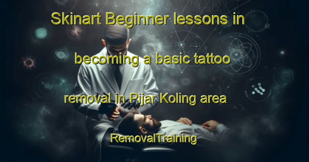 Skinart Beginner lessons in becoming a basic tattoo removal in Pijar Koling area | RemovalTraining | RemovalClasses | SkinartTraining-Indonesia
