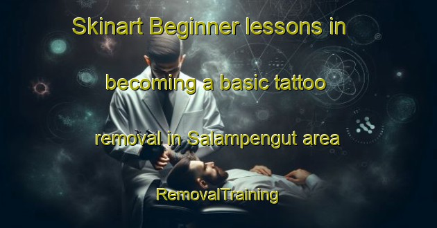 Skinart Beginner lessons in becoming a basic tattoo removal in Salampengut area | RemovalTraining | RemovalClasses | SkinartTraining-Indonesia