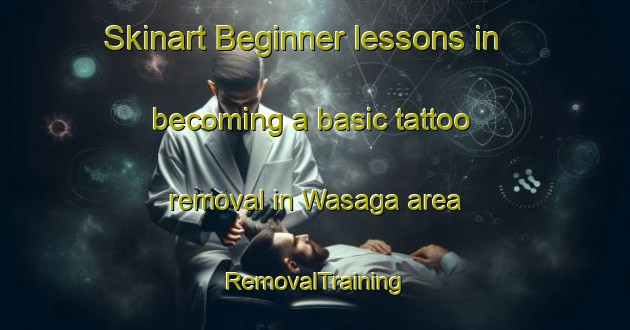 Skinart Beginner lessons in becoming a basic tattoo removal in Wasaga area | RemovalTraining | RemovalClasses | SkinartTraining-Indonesia