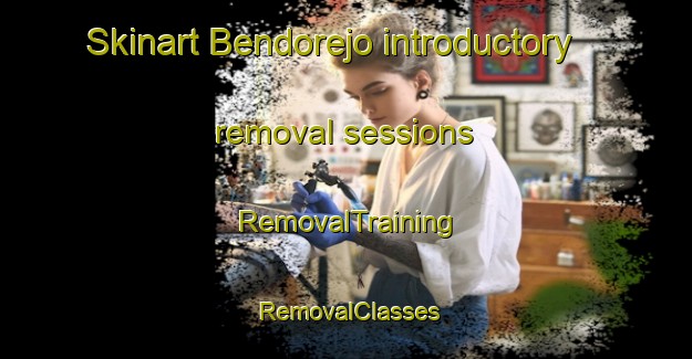 Skinart Bendorejo introductory removal sessions | RemovalTraining | RemovalClasses | SkinartTraining-Indonesia