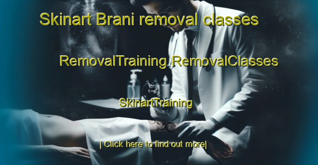 Skinart Brani removal classes | #RemovalTraining #RemovalClasses #SkinartTraining-Indonesia