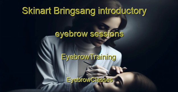 Skinart Bringsang introductory eyebrow sessions | EyebrowTraining | EyebrowClasses | SkinartTraining-Indonesia
