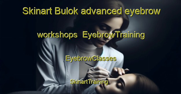Skinart Bulok advanced eyebrow workshops | EyebrowTraining | EyebrowClasses | SkinartTraining-Indonesia