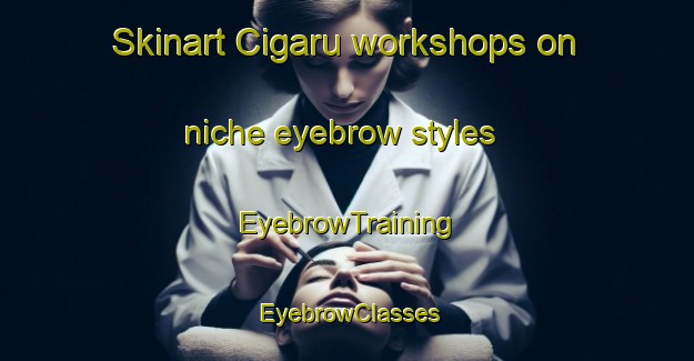 Skinart Cigaru workshops on niche eyebrow styles | EyebrowTraining | EyebrowClasses | SkinartTraining-Indonesia