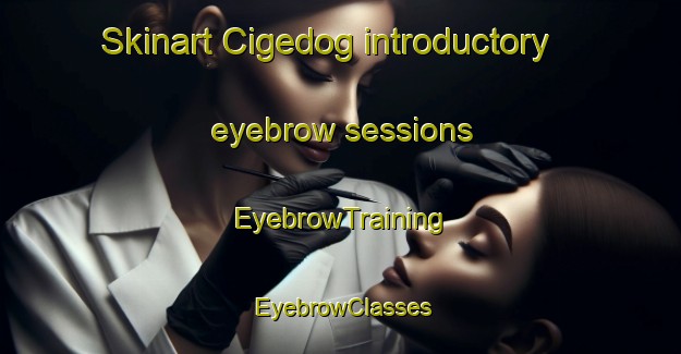 Skinart Cigedog introductory eyebrow sessions | EyebrowTraining | EyebrowClasses | SkinartTraining-Indonesia