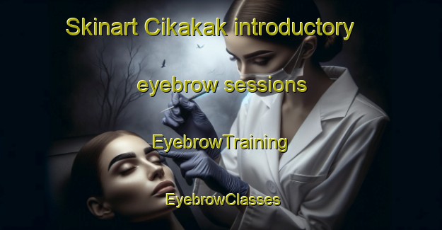 Skinart Cikakak introductory eyebrow sessions | EyebrowTraining | EyebrowClasses | SkinartTraining-Indonesia