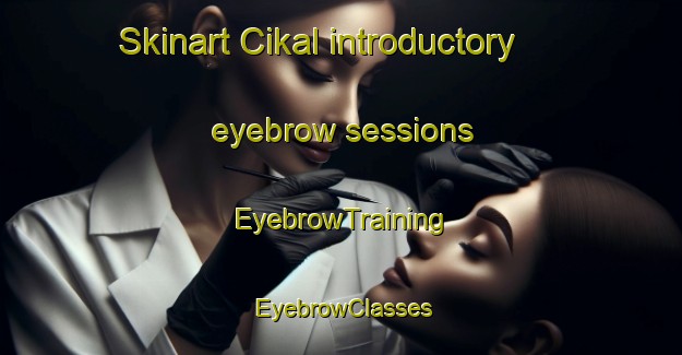 Skinart Cikal introductory eyebrow sessions | EyebrowTraining | EyebrowClasses | SkinartTraining-Indonesia