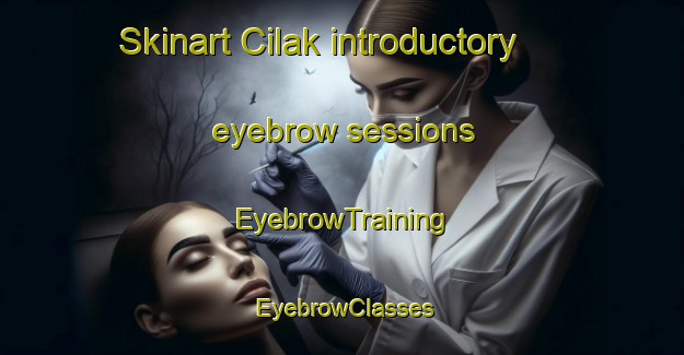 Skinart Cilak introductory eyebrow sessions | EyebrowTraining | EyebrowClasses | SkinartTraining-Indonesia