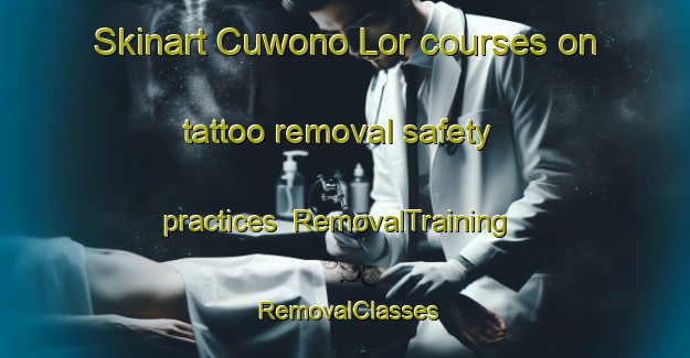 Skinart Cuwono Lor courses on tattoo removal safety practices | RemovalTraining | RemovalClasses | SkinartTraining-Indonesia