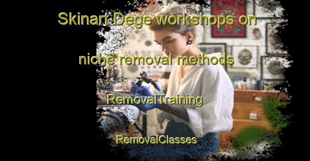 Skinart Dege workshops on niche removal methods | RemovalTraining | RemovalClasses | SkinartTraining-Indonesia