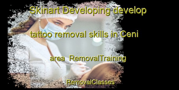 Skinart Developing develop tattoo removal skills in Ceni area | RemovalTraining | RemovalClasses | SkinartTraining-Indonesia