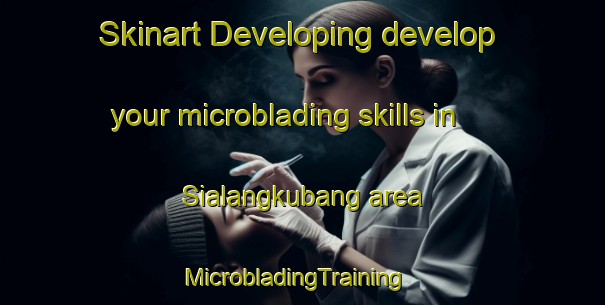 Skinart Developing develop your microblading skills in Sialangkubang area | MicrobladingTraining | MicrobladingClasses | SkinartTraining-Indonesia