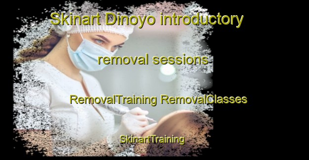 Skinart Dinoyo introductory removal sessions | #RemovalTraining #RemovalClasses #SkinartTraining-Indonesia