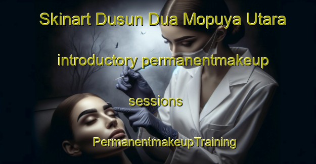 Skinart Dusun Dua Mopuya Utara introductory permanentmakeup sessions | #PermanentmakeupTraining #PermanentmakeupClasses #SkinartTraining-Indonesia