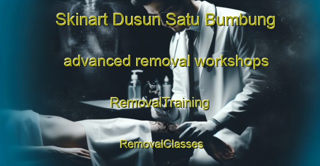 Skinart Dusun Satu Bumbung advanced removal workshops | RemovalTraining | RemovalClasses | SkinartTraining-Indonesia