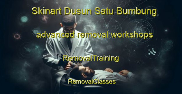 Skinart Dusun Satu Bumbung advanced removal workshops | RemovalTraining | RemovalClasses | SkinartTraining-Indonesia