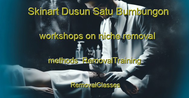 Skinart Dusun Satu Bumbungon workshops on niche removal methods | RemovalTraining | RemovalClasses | SkinartTraining-Indonesia