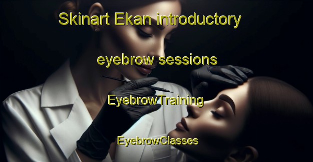 Skinart Ekan introductory eyebrow sessions | EyebrowTraining | EyebrowClasses | SkinartTraining-Indonesia
